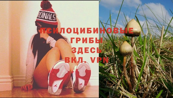 первитин Армянск