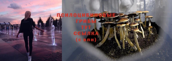 таблы Арсеньев