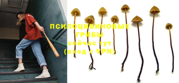 таблы Арсеньев